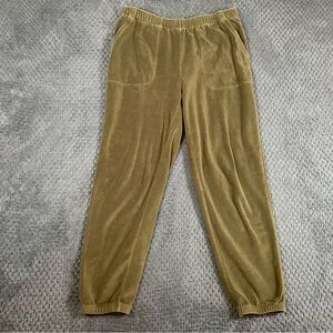 Aerie Womens Sweatpants Joggers Gree Velour Velvet Size M Pockets Comfort Casual